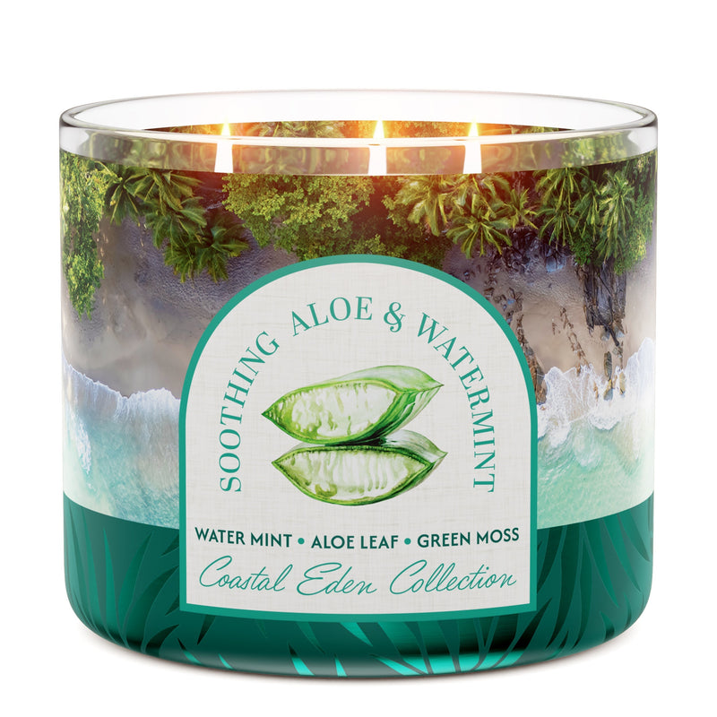 Soothing Aloe & Watermint 3-Wick Candle (S43NE)